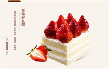 上海澳人坊-网站案例展示