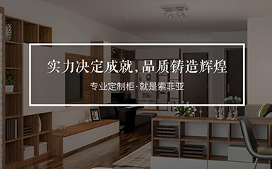 索菲亚-家具公司网站案例